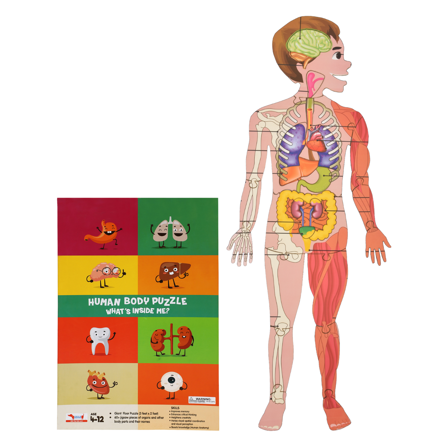 Human body hot sale floor puzzle
